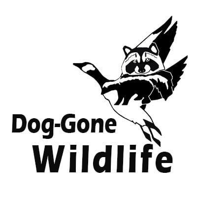 Dog Gone Wildlife